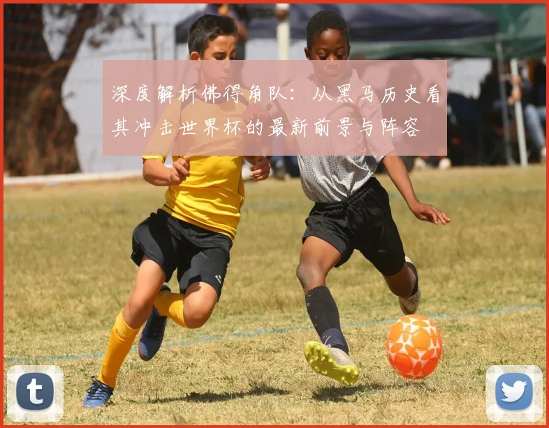 深度解析佛得角队：从黑马历史看其冲击世界杯的最新前景与阵容