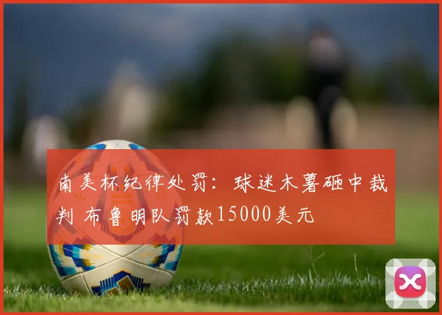 南美杯纪律处罚:球迷木薯砸中裁判 布鲁明队罚款15000美元