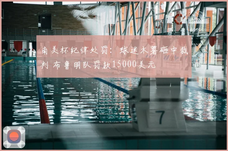 南美杯纪律处罚:球迷木薯砸中裁判 布鲁明队罚款15000美元