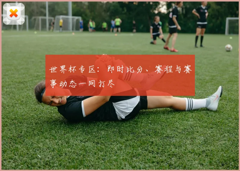 世界杯专区:即时比分、赛程与赛事动态一网打尽