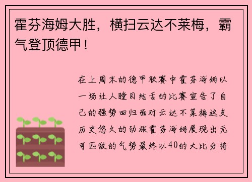 霍芬海姆大胜,横扫云达不莱梅,霸气登顶德甲!